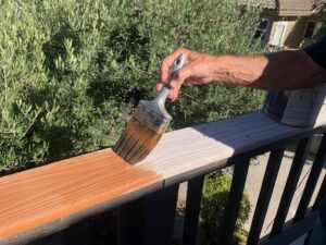 stain your TREX deck